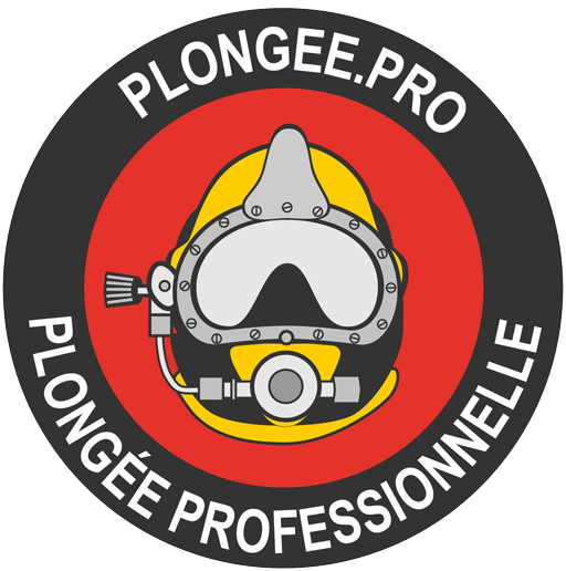 PLONGEE.PRO logo